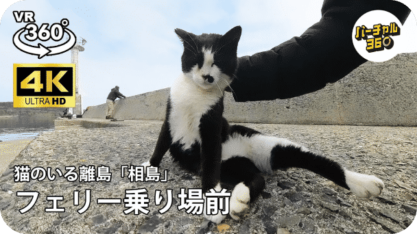 フェリー乗り場前