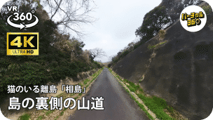島の裏側の山道