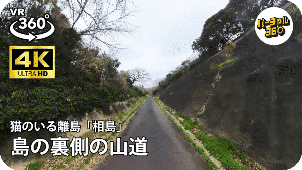 島の裏側の山道