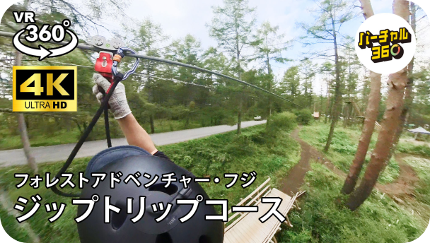 ジップトリップコース